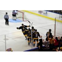 Mississippi RiverKings Celebrate a Goal vs. the Macon Mayhem February 27