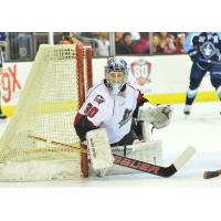 Lake Erie Monsters Goaltender Brad Thiessen