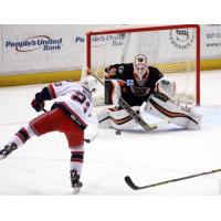 Lehigh Valley Phantoms Goaltender Anthony Stolarz Faces a Hartford Wolf Pack Shot