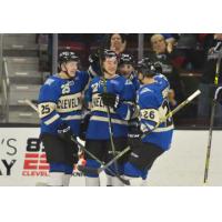 Lake Erie Monsters Celebrate a Goal