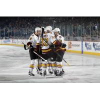 Chicago Wolves Celebrate a Goal vs. the Milwaukee Admirals
