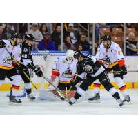 Manchester Monarchs Battle the Adirondack Thunder