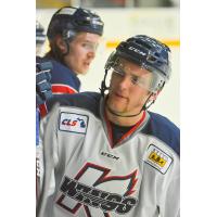 Dane Fox with the Kalamazoo Wings