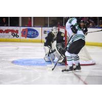 Mississippi RiverKings Goaltender Peter Di Salvo