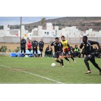 Minnesota United FC in Preseason Action