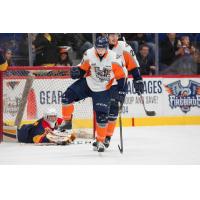 Flint Firebirds RW Will Bitten Celebrates a Goal vs. the Erie Otters