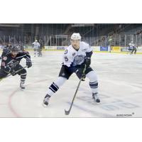 Evansville IceMen Defenseman Spencer Humphries