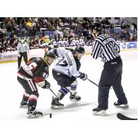 Lone Star Brahmas vs. the Odessa Jackalopes