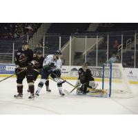 Florida Everblades Score vs. the Atlanta Gladiators