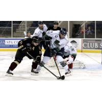 Atlanta Gladiators vs. the Florida Everblades