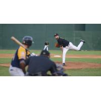 Sioux Falls Canaries Pitcher Joe Bircher