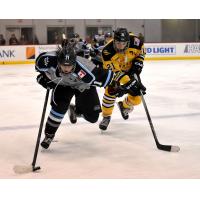 Devon Skeats of the Buffalo Beauts vs. Hilary Knight of the Boston Pride