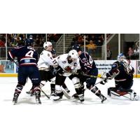 Atlanta Gladiators vs. South Carolina Stingrays