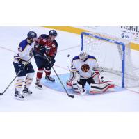 Kalamazoo Wings Try to Score vs. the Norfolk Admirals