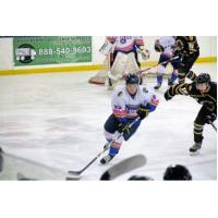 Springfield Jr. Blues vs. the Kenai River Brown Bears