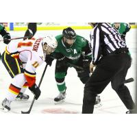 Texas Stars Face off withthe Stockton Heat