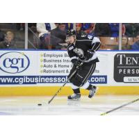 Manchester Monarchs Forward Maxim Kitsyn