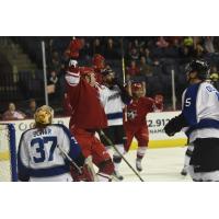 Allen Americans Celebrate a Goal vs. the Wichita Thunder