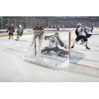 Chicago Wolves Close in on the Milwaukee Admirals Net