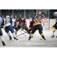 Chicago Wolves RW Jordan Caron vs. the Milwaukee Admirals