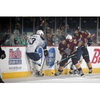 Chicago Wolves C Pat Cannone vs. the Milwaukee Admirals