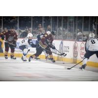 Chicago Wolves and Milwaukee Admirals Fight for the Puck Along the Boards