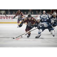 Chicago Wolves RW Ty Rattie Races for the Puck vs. the Milwaukee Admirals