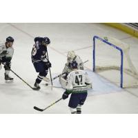 Florida Everblades Goaltender Anthony Peters Stops the Greenville Swamp Rabbits