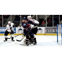 Atlanta Gladiators vs. the South Carolina Stingrays