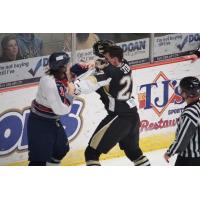 Kalamazoo Wings and Wheeling Nailers Fight