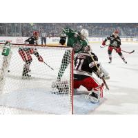 Chicago Wolves RW Jordan Caron Tries to Score vs. the Grand Rapids Griffins