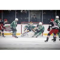 Chicago Wolves Defense vs. the Grand Rapids Griffins