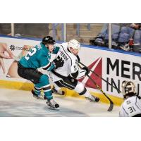 Ontario Reign against the Boards vs. the San Jose Barracuda