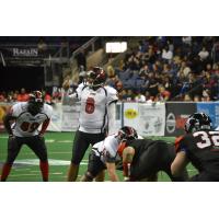 Amarillo Venom Quarterback Nate Davis vs. the Texas Revolution