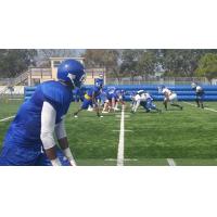 Tampa Bay Storm in Training Camp