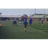 Tampa Bay Storm Training Camp Drill