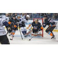 Ontario Reign vs. the San Diego Gulls