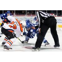 Lehigh Valley Phantoms Face off with the Toronto Marlies