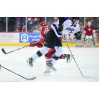 Allen Americans vs. the Wichita Thunder