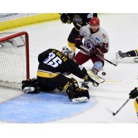 Mississippi RiverKings Goaltender Peter Di Salvo vs. the Huntsville Havoc