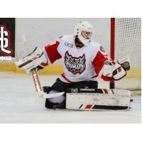 Port Huron Prowlers Goaltender Andy DiCristofaro