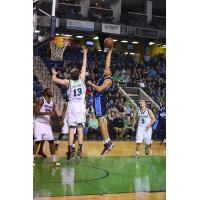 Halifax Hurricanes vs. the Niagara River Lions