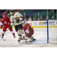 Allen Americans vs. the Missouri Mavericks