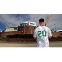 Long Island Ducks Outfielder/Bench Coach Lew Ford