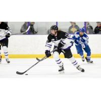 Forward Castan Sommer with the College of the Holy Cross