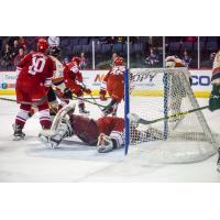 Allen Americans Goaltender Riley Gill Sprawls to Make a Save vs. the Missouri Mavericks