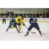 Merrimack College Defenseman Craig Wyszomirski