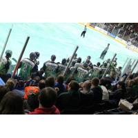 Kalamazoo Wings on St. Patrick's Day