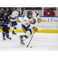 Forward Ralph Cuddemi at Canisius College