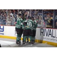 Chicago Wolves Celebrate a Goal vs. the Rockford IceHogs